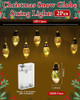 Luces Navideñas Globo Nieve 3mts 30leds A Pilas Pack X 2un 1