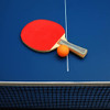 Patikil Red De Repuesto Para Tenis De Mesa, 4