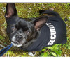 Bingpet Security Camisa Para Perros Ropa De Verano Para Masc 4 Bingpet Security Camisa Para Perros Ropa De Verano Para Masc 4