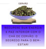 Chá De Gervão-verdadeiro Próprio Para Chá 2