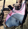 Mochila Transportadora Perro Gato 1