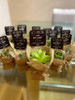Plantitas Mini Suculentas X10 Souvenirs  Decorados Isiflor 1