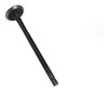 Valvula De Escape Original Bajaj Rouser 135  Dompa 1