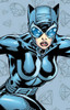Dc Comics: Sirens Pocket Notebook Collection (set Of 3) (ing 2
