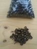 Tachas Oro Viejo 0