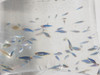 Pez Cebrita Azul 2