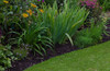 Divisor Separador De Grama Limitador Jardim C/borda 25m X 7c 5