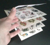 Tatuajes Temporales Tattoos 5 Laminas /  Block Nro. 20 5
