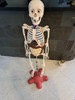 Cuerpo Humano Coleccion 3