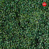 Jardín Vertical X 25 Premium 60x40 Muro Verde Césped- Wilton 2
