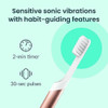 Quip Cepillo De Dientes Eléctrico Para Adultos, 1