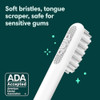 Quip Cepillo De Dientes Eléctrico Para Adultos, 2