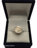 Anillo Profesión Nuticionista 3