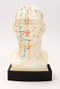 Acupuntura Modelo Cabeza 23 Cm 1
