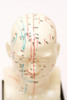 Acupuntura Modelo Cabeza 23 Cm 5