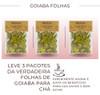 3 Pacotes Chás Goiabeira Folhas Erva Natural Chá 100% Pura 1