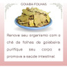 3 Pacotes Chás Goiabeira Folhas Erva Natural Chá 100% Pura 3