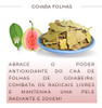 3 Pacotes Chás Goiabeira Folhas Erva Natural Chá 100% Pura 5