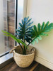 Planta Artificial Hoja De Philo 60 Cms 4