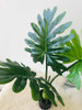 Planta Artificial Hoja De Philo 60 Cms 5