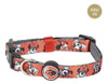 Vital Fun Collar Premium Perro M Iinvierno 2023 0