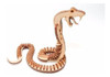 Rompecabezas Para Armar Maqueta 3d De Madera Serpiente Cobra 2