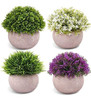 Cewor 4 Pack Mini Plantas Artificiales Mini Plantas Plantas 0