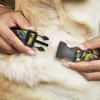 Collar De Perro Con Hebilla Clip De Plastico Scooby Doo Y S 3