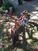 Bici Rodado 16 1