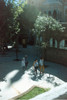 Kodak Vision 2 250d (vencido) 6