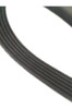 Correa Para Bicicleta Fija 6pj-880 / 6pj-346 (no Elastica) 0