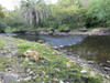 Cabañita 5