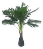 Planta Palmera 85 Cm (aprox.) 0