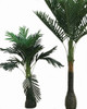 Planta Palmera 85 Cm (aprox.) 2