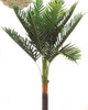 Planta Palmera 85 Cm (aprox.) 3