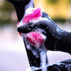 Esponja Microceldas Expansible Lavado De Moto Y Auto Muc-off 5