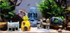 Adorno Para Acuario, Decoración Casa Bob Esponja 2 Adorno Para Acuario, Decoración Casa Bob Esponja 2