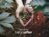 Peter Mckinnon Pacote Completo De Presets 5