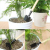 Set Jardineria Mini Kit Herramientas 2 Palas + 1  Rastrillo 5 Set Jardineria Mini Kit Herramientas 2 Palas + 1  Rastrillo 5