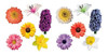 Recortes De Flores Beistle, 12 Piezas, 11 -16.75 , Multicolo 0