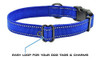 Correa Max Y Neo Para Perros Con Hebilla De Nailon Reflectan 2