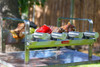 Parrilla Spiedo 4 Espadas- Marca  Gsauver Grill 3 Parrilla Spiedo 4 Espadas- Marca  Gsauver Grill 3