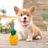 Mordillo Mascotas Piña Pinchos Perros Chifle Apto Frezzer 2