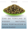 Chá De Tomilho | Tomilio 100% Natural | Ervas Secas 2