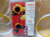 Invisible Limits, Violence - Cassette 2