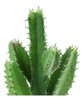 Bcp 2pcs Aspecto Real De Cactus Artificial Planta Material D 1