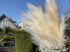 Panache Decor Panache Artificial Pampas Grass Decor Grande X 6