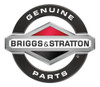 Carburador Briggs Stratton Original 495821 1