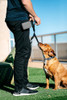 Bolsa Flexible Para Perros Dexas Pets, Golosina De Adiestram 4