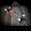 Longboard Kalima Genesis Hard Maple 4